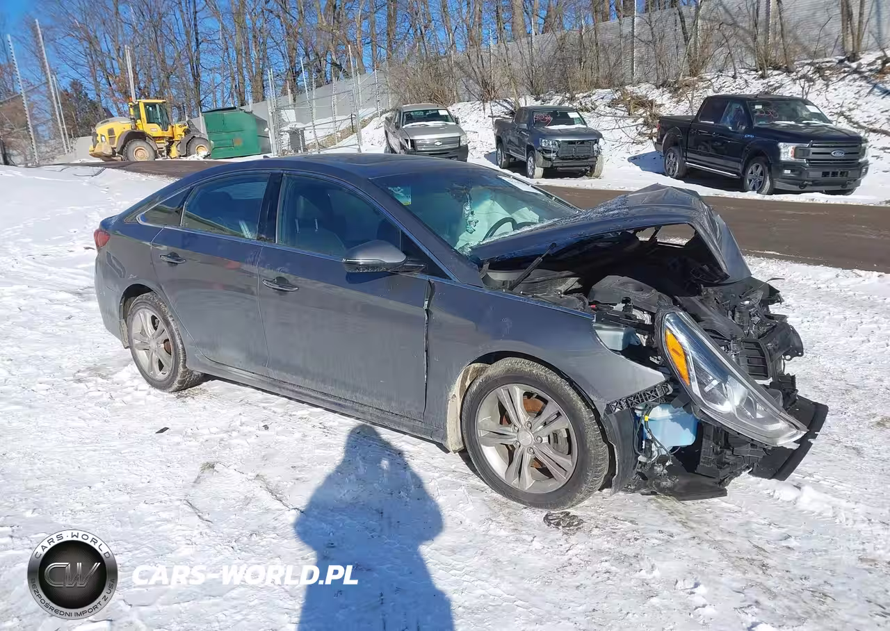 2019 Hyundai Sonata Sport