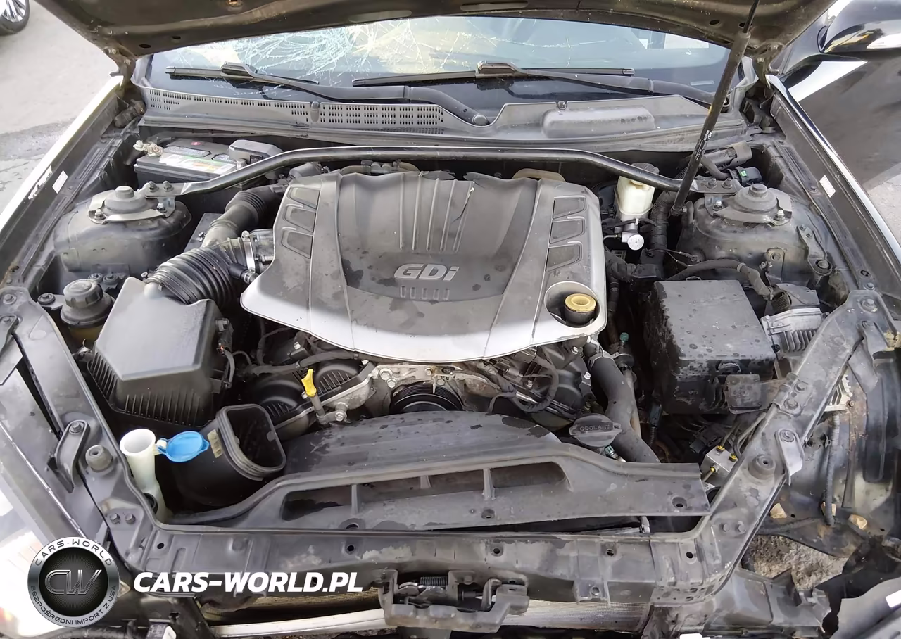 2015 Hyundai Genesis 3.8 Ultimate VIN:KMHHU6KJXFU129179 - 10