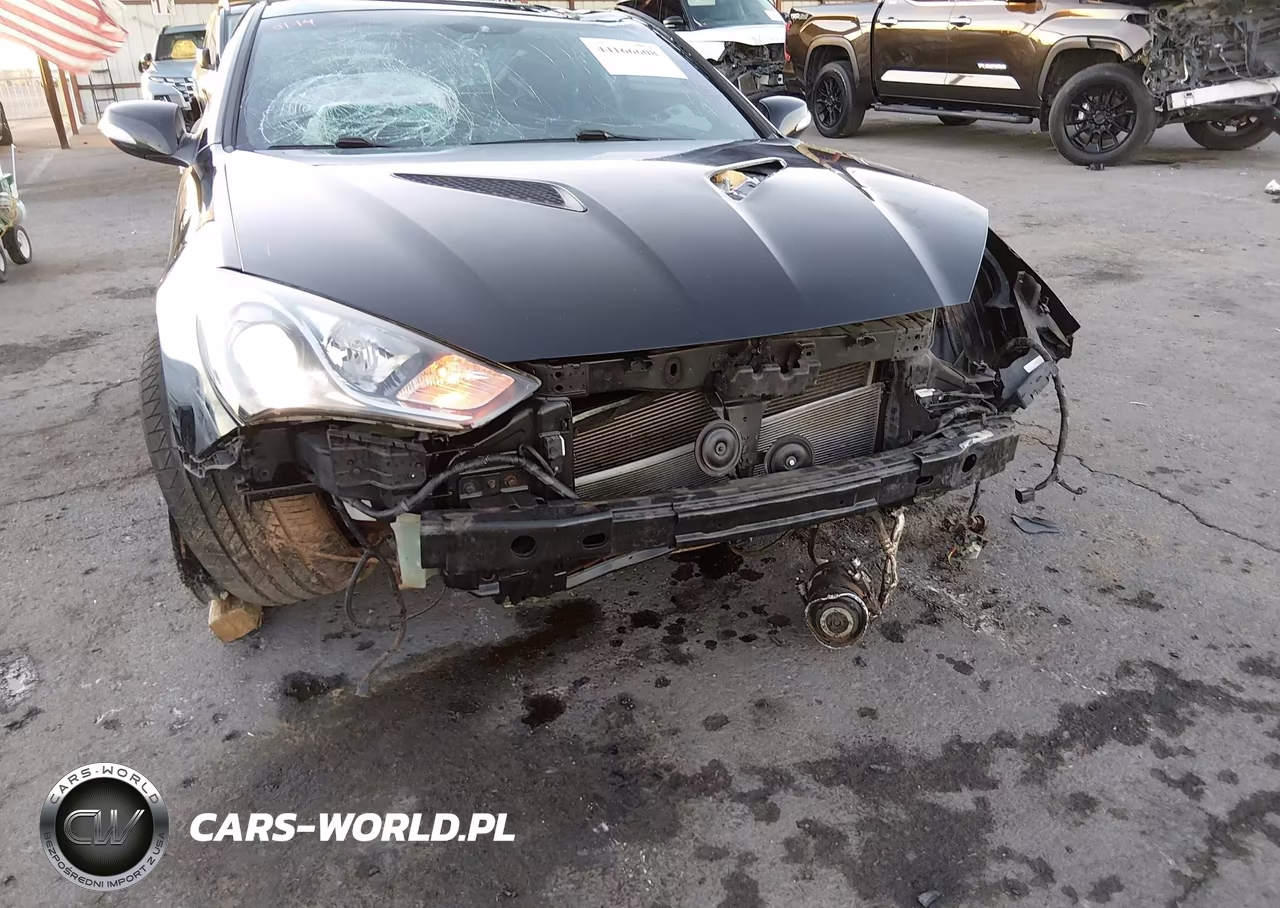 2015 Hyundai Genesis 3.8 Ultimate VIN:KMHHU6KJXFU129179 - 13
