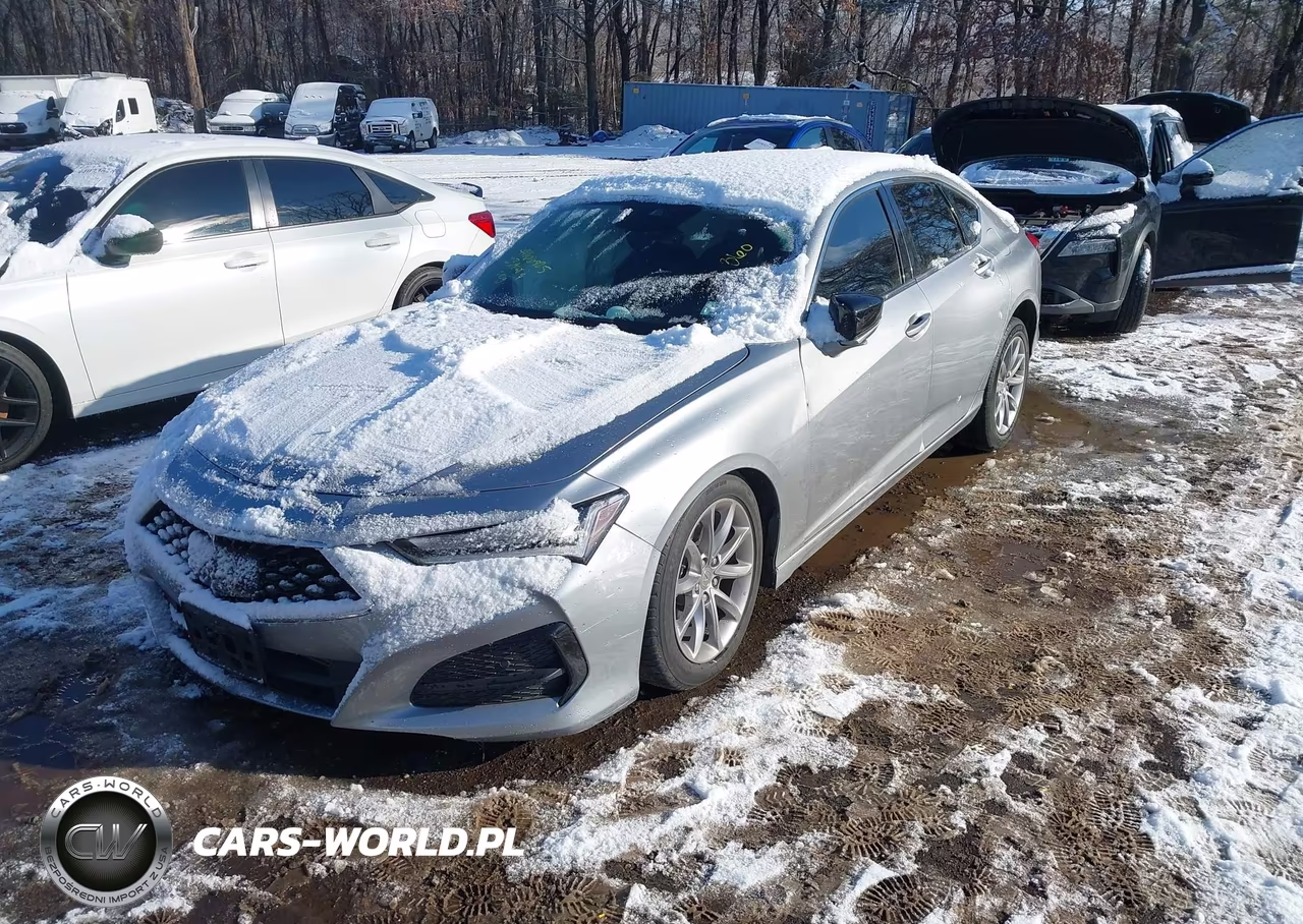 2023 Acura Tlx Standard VIN:19UUB5F31PA004056 - 2