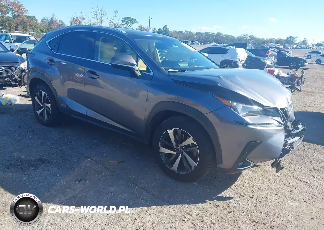 2019 Lexus Nx 300H