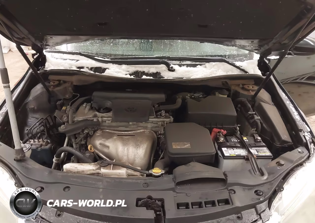 2015 Toyota Camry Se VIN:4T1BF1FK0FU114339 - 10