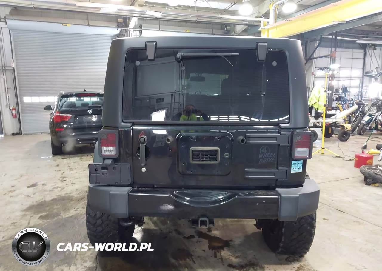 2015 Jeep Wrangler Unlimited Willys Wheeler VIN:1C4BJWDG9FL561840 - 16