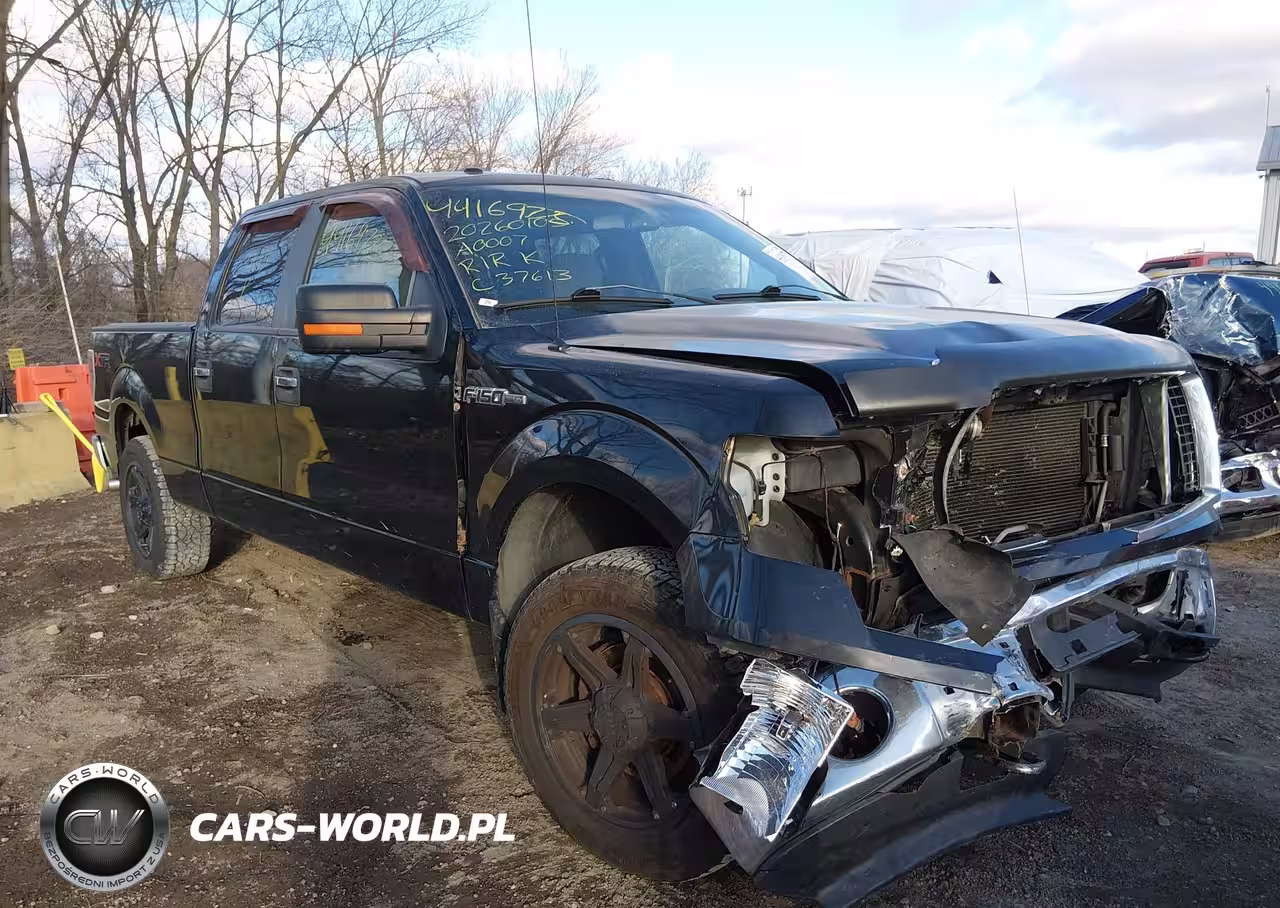 2010 Ford F-150 Xl-Xlt