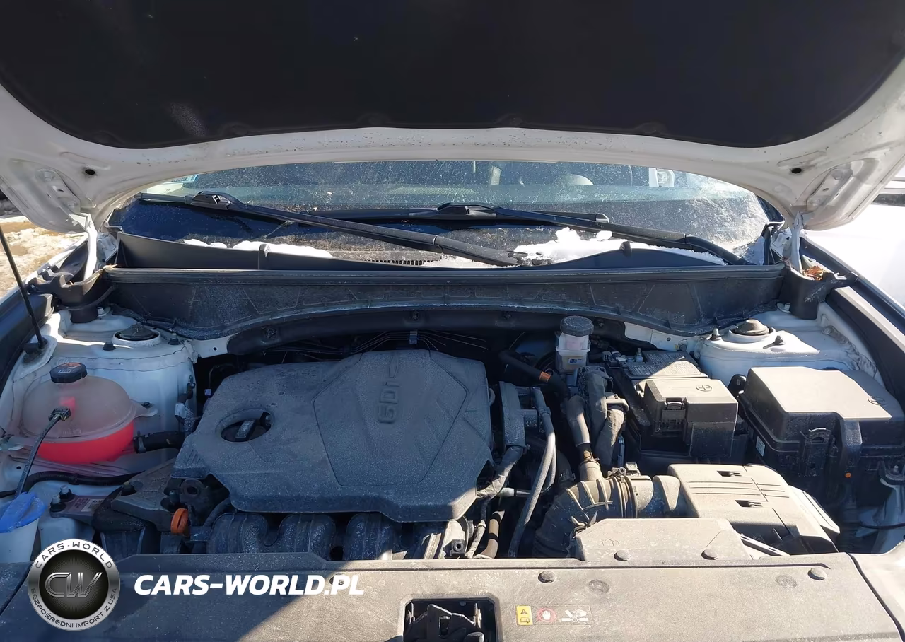 2023 Hyundai Tucson Limited VIN:5NMJECAE2PH195627 - 10