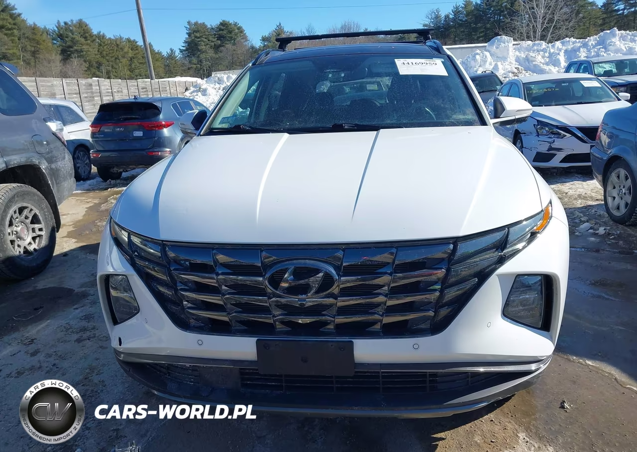 2023 Hyundai Tucson Limited VIN:5NMJECAE2PH195627 - 12