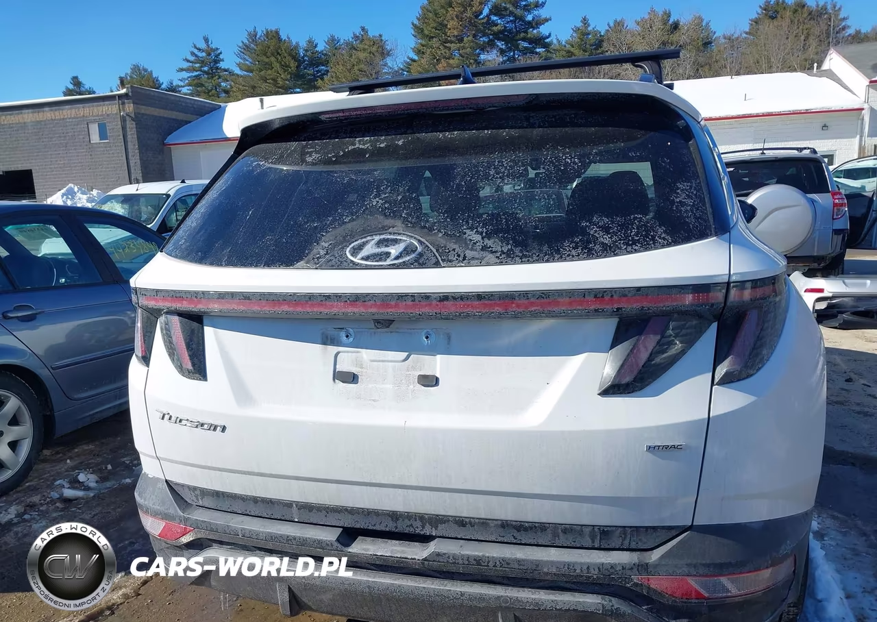 2023 Hyundai Tucson Limited VIN:5NMJECAE2PH195627 - 16