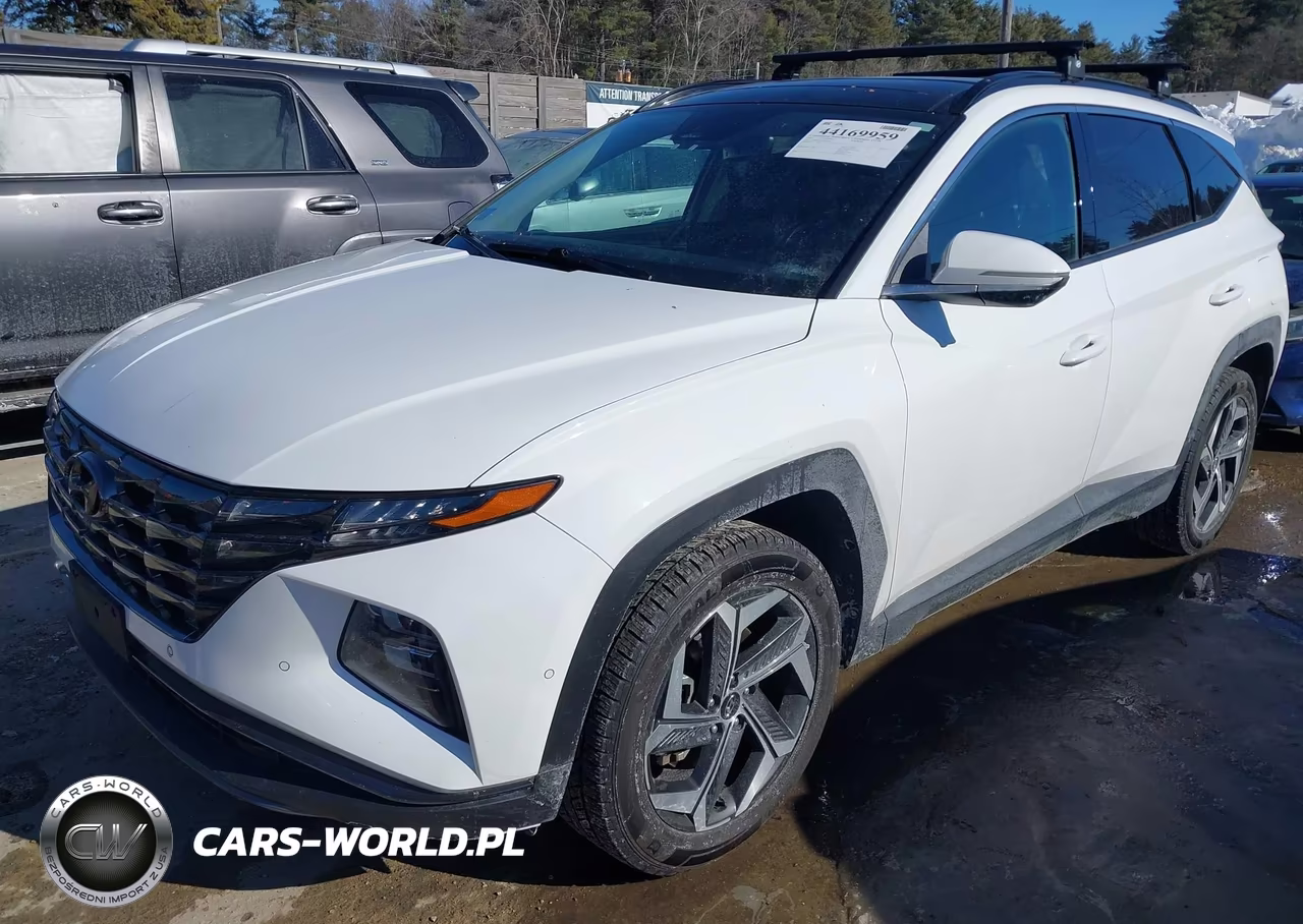 2023 Hyundai Tucson Limited VIN:5NMJECAE2PH195627 - 2