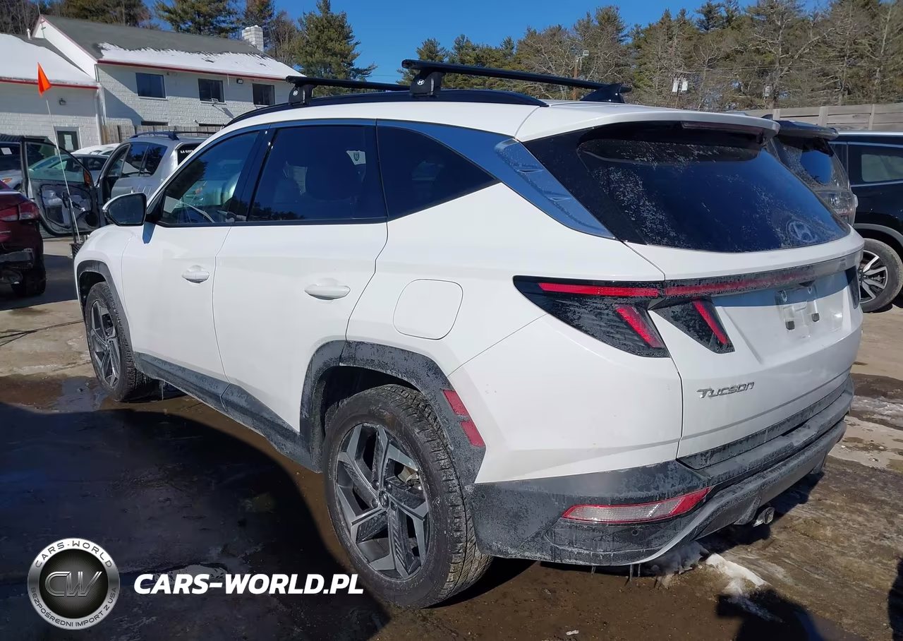 2023 Hyundai Tucson Limited VIN:5NMJECAE2PH195627 - 3