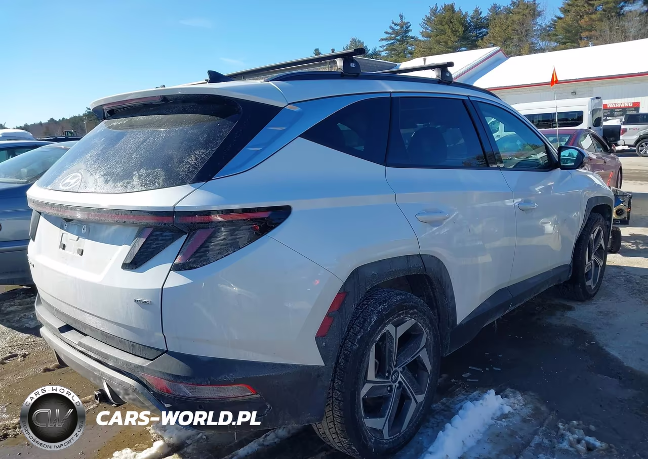 2023 Hyundai Tucson Limited VIN:5NMJECAE2PH195627 - 4