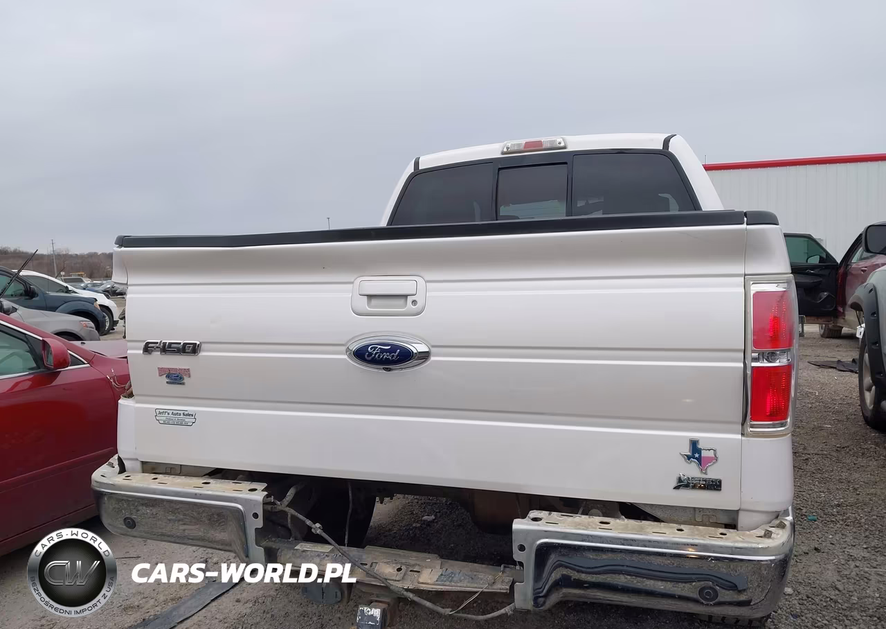 2010 Ford F-150 Lariat VIN:1FTFW1EVXAFD86427 - 17