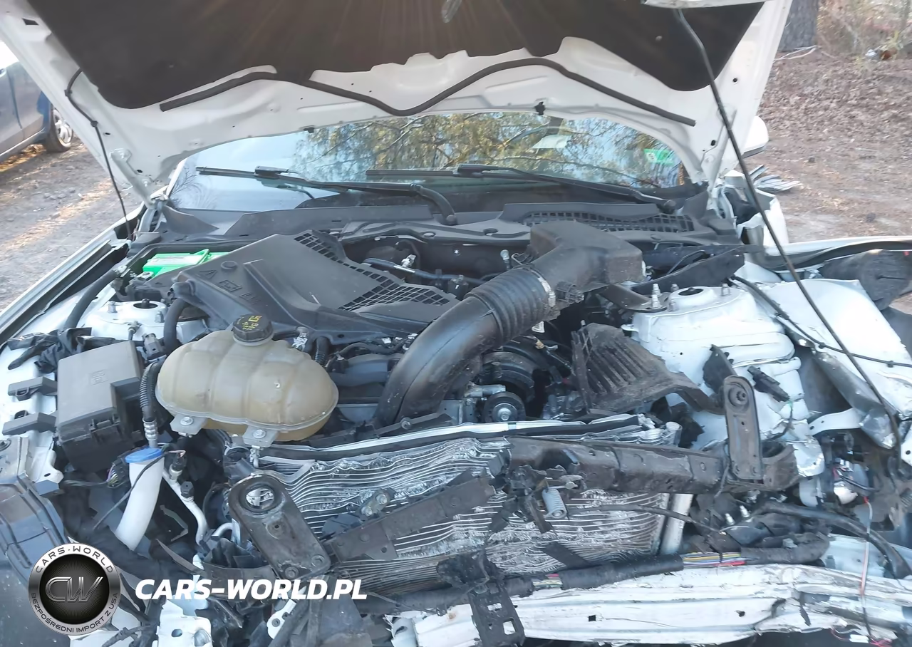 2022 Ford Mustang Ecoboost Premium VIN:1FATP8UH2N5102861 - 10
