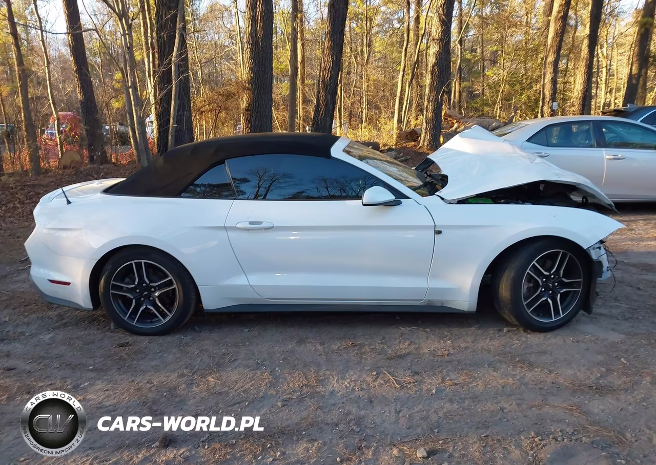 2022 Ford Mustang Ecoboost Premium VIN:1FATP8UH2N5102861 - 14