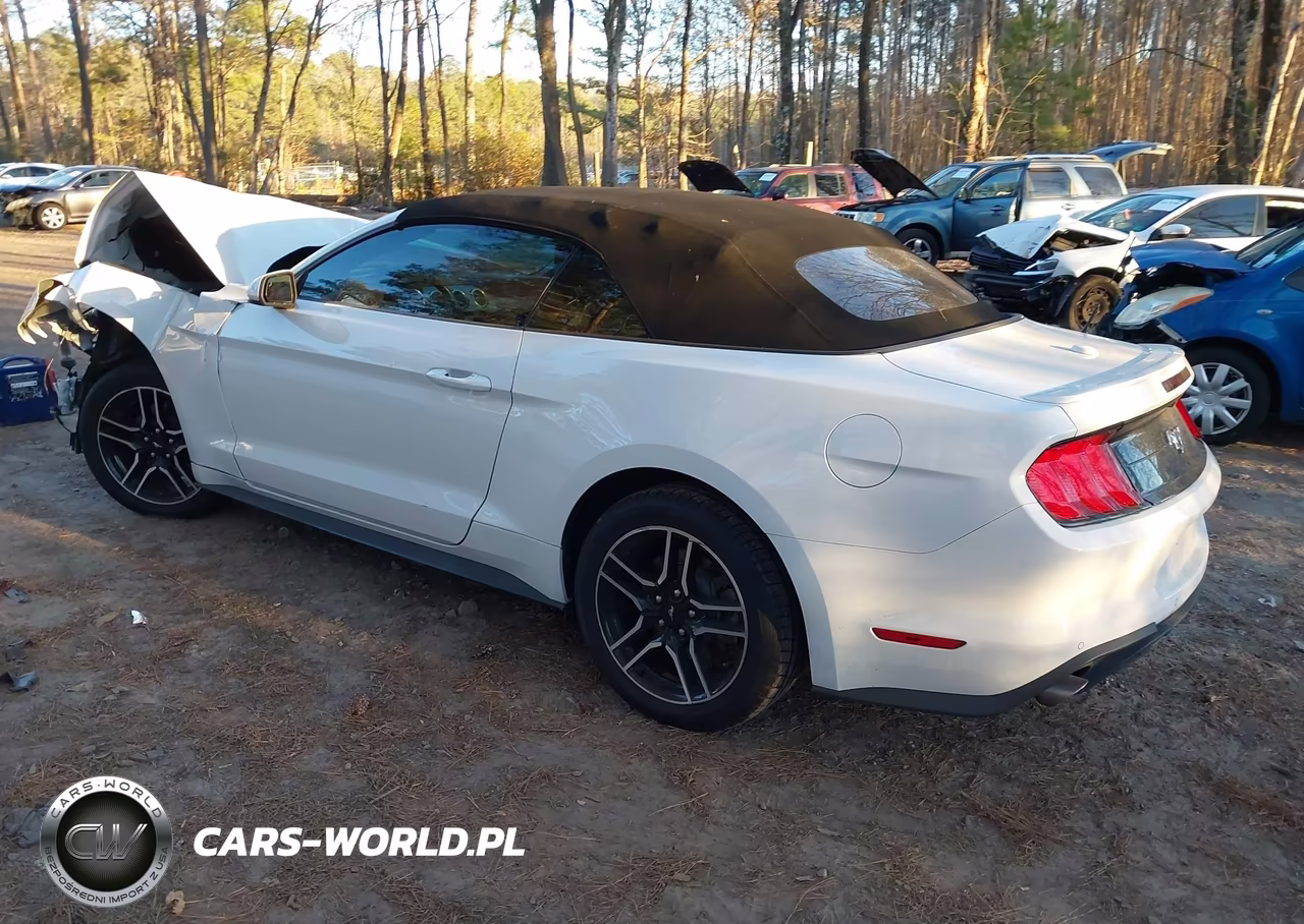 2022 Ford Mustang Ecoboost Premium VIN:1FATP8UH2N5102861 - 3