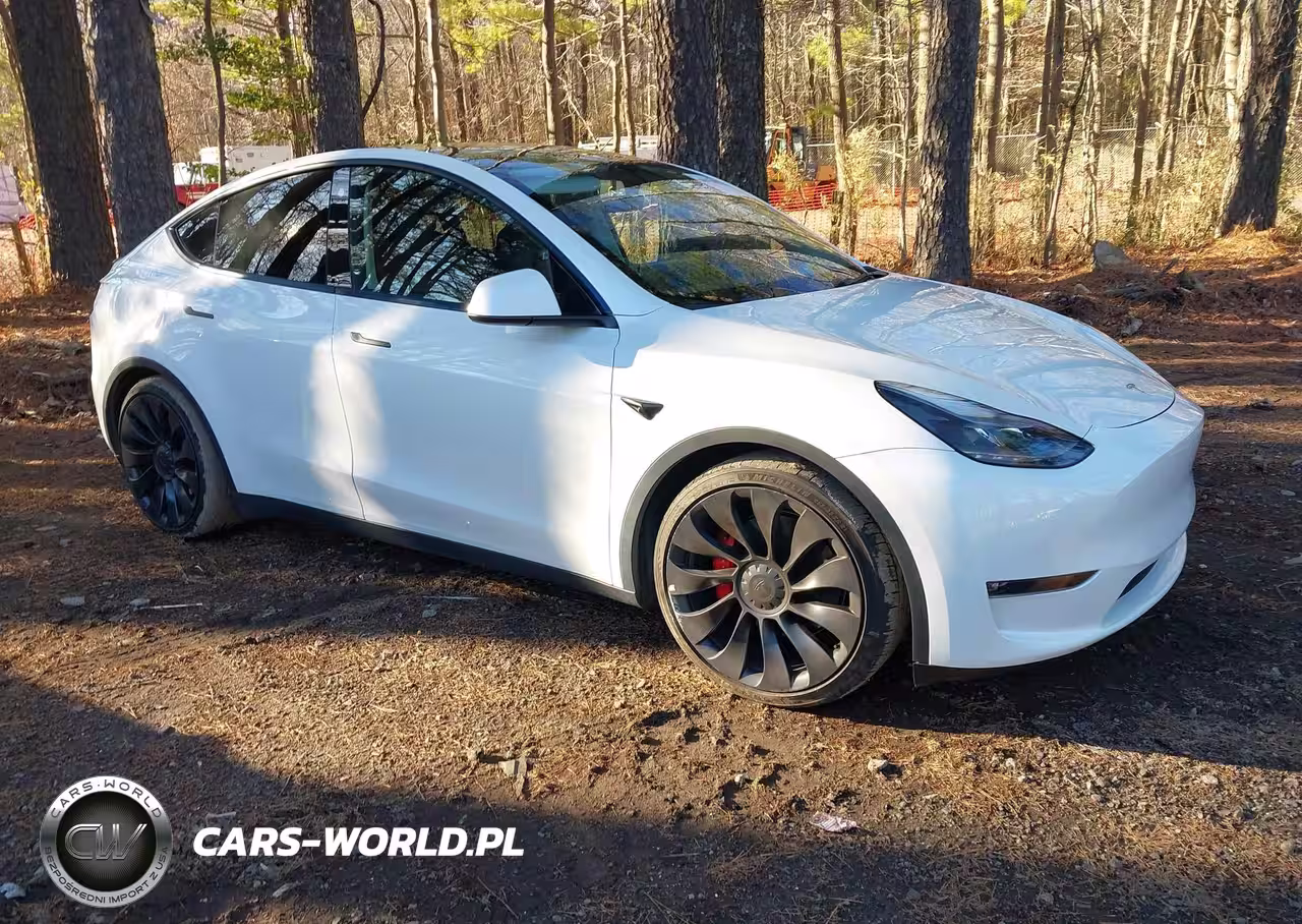 2022 Tesla Model Y Performance Dual Motor All-Wheel Drive