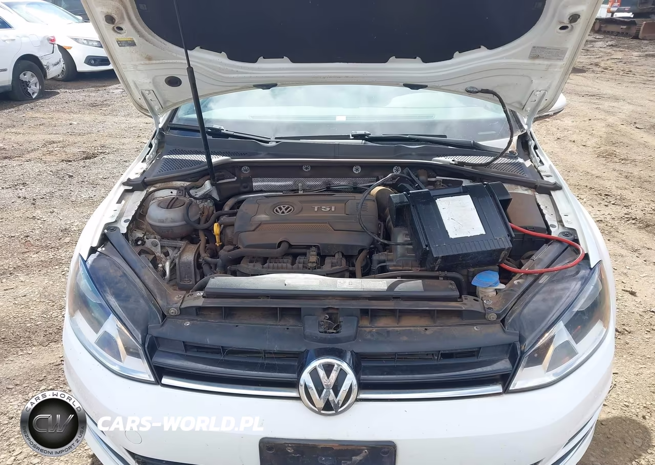 2017 Volkswagen Golf Sportwagen Tsi S-Tsi Se-Tsi Sel VIN:3VWC17AU0HM507474 - 10