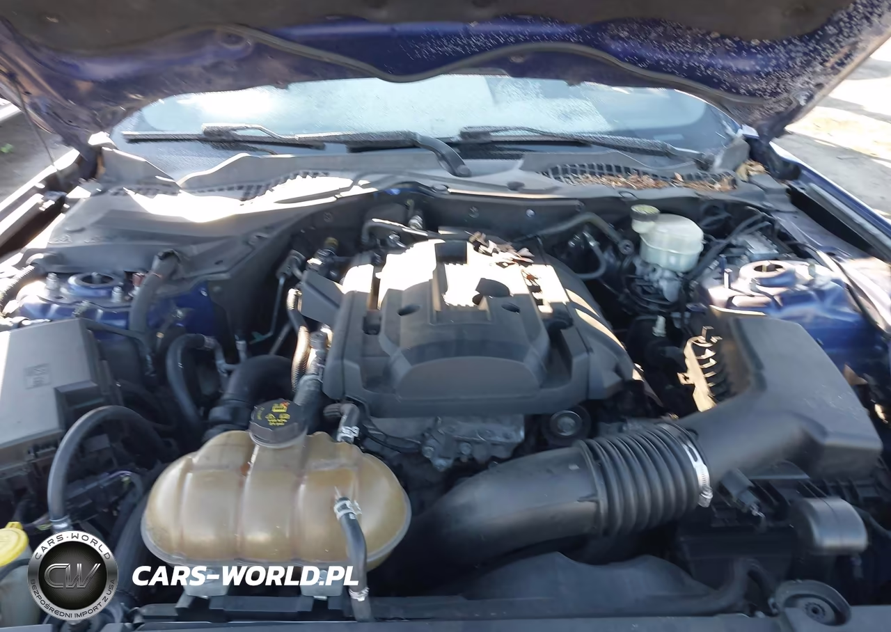 2016 Ford Mustang Ecoboost VIN:1FA6P8TH9G5236140 - 10