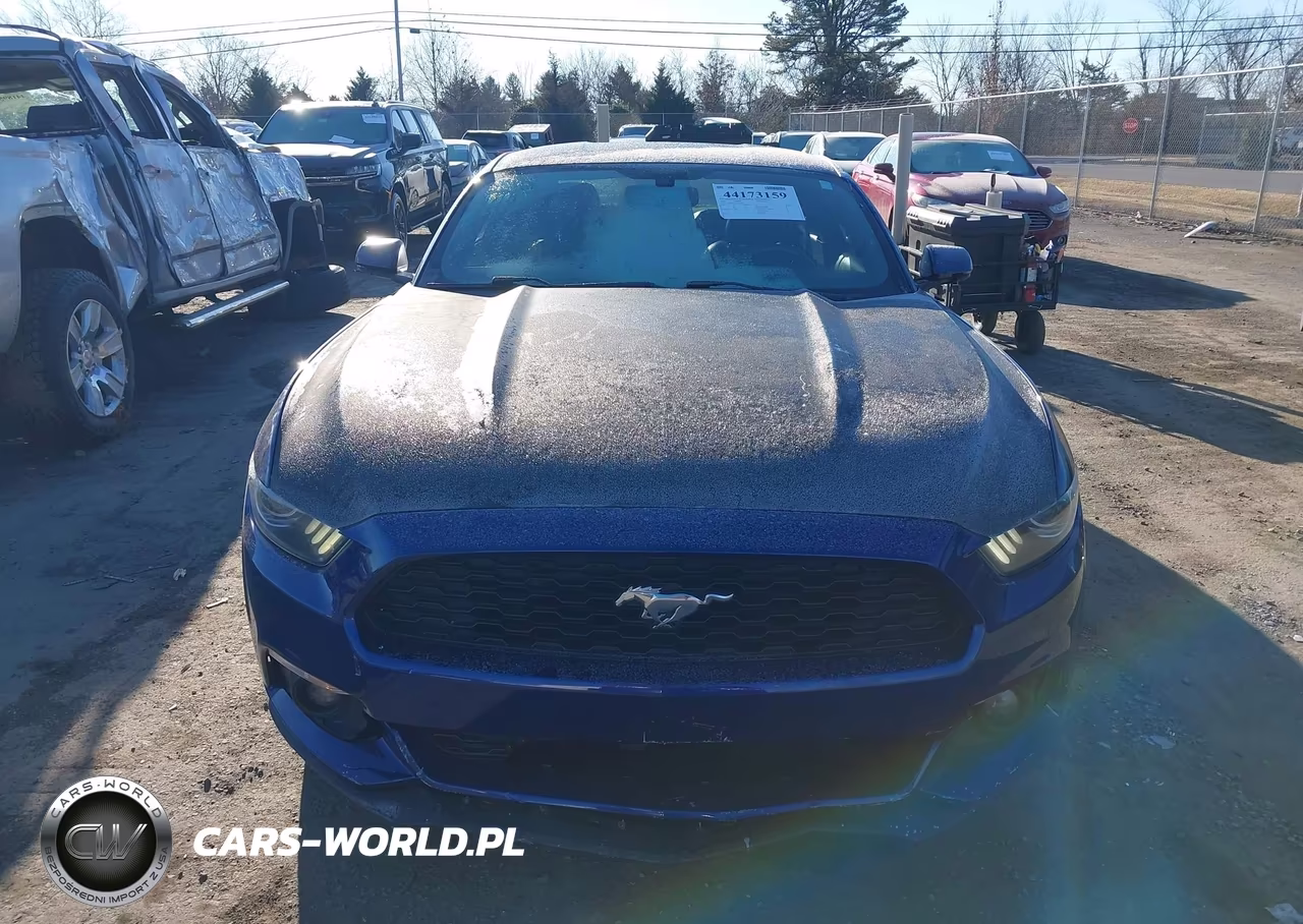 2016 Ford Mustang Ecoboost VIN:1FA6P8TH9G5236140 - 12