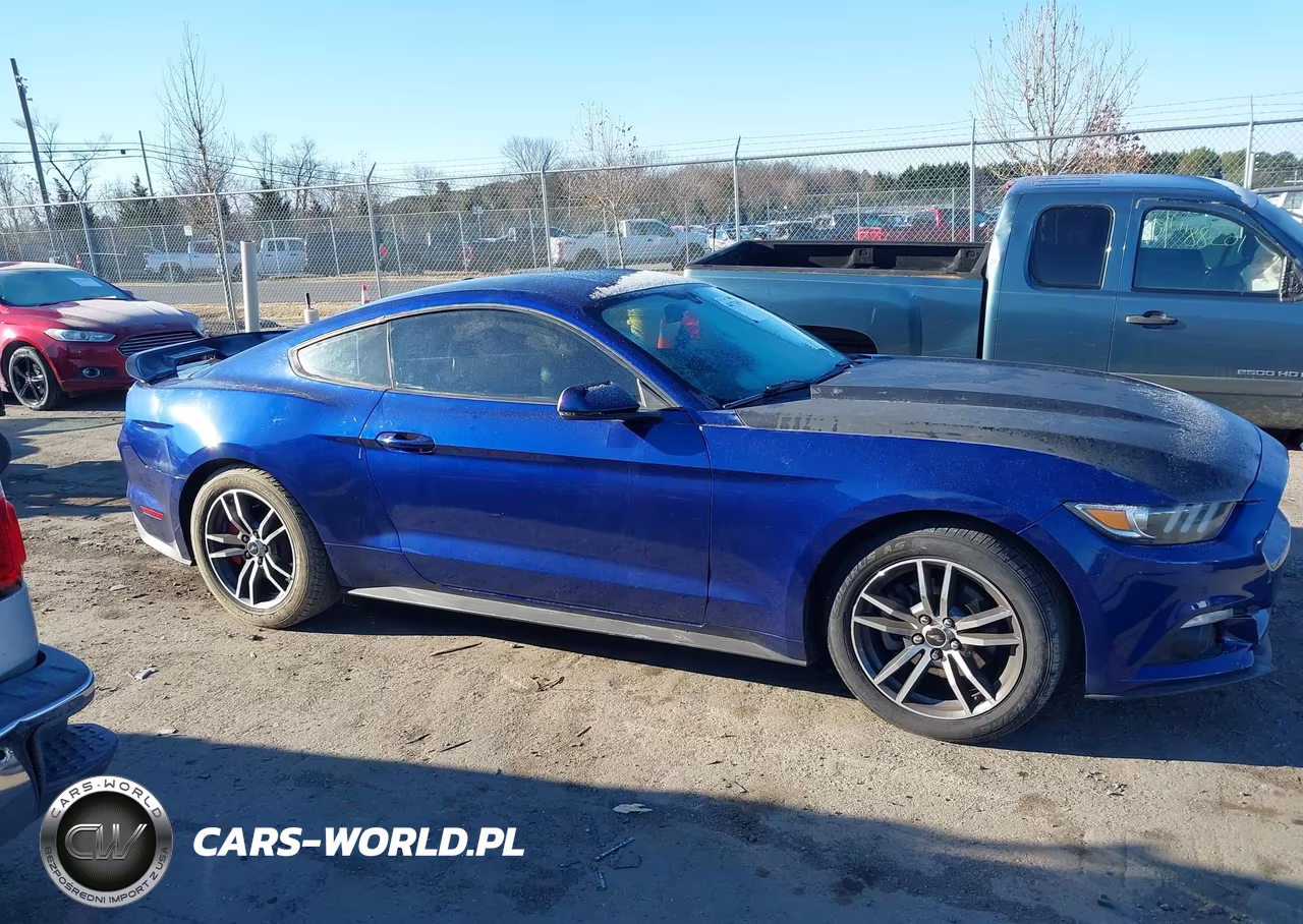 2016 Ford Mustang Ecoboost VIN:1FA6P8TH9G5236140 - 13