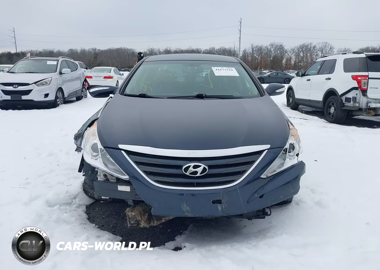 2014 Hyundai Sonata Gls VIN:5NPEB4AC4EH882252 - 12