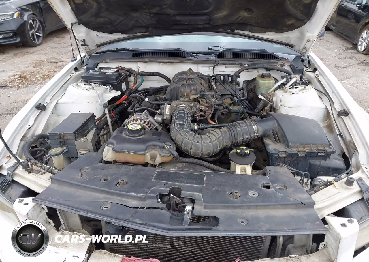 2006 Ford Mustang V6 VIN:1ZVFT80N365108164 - 10