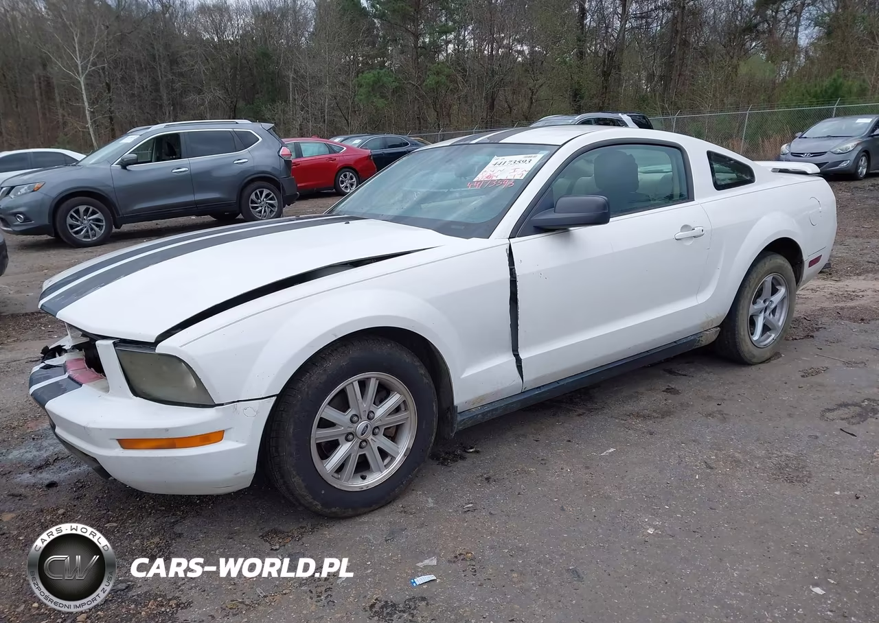 2006 Ford Mustang V6 VIN:1ZVFT80N365108164 - 2