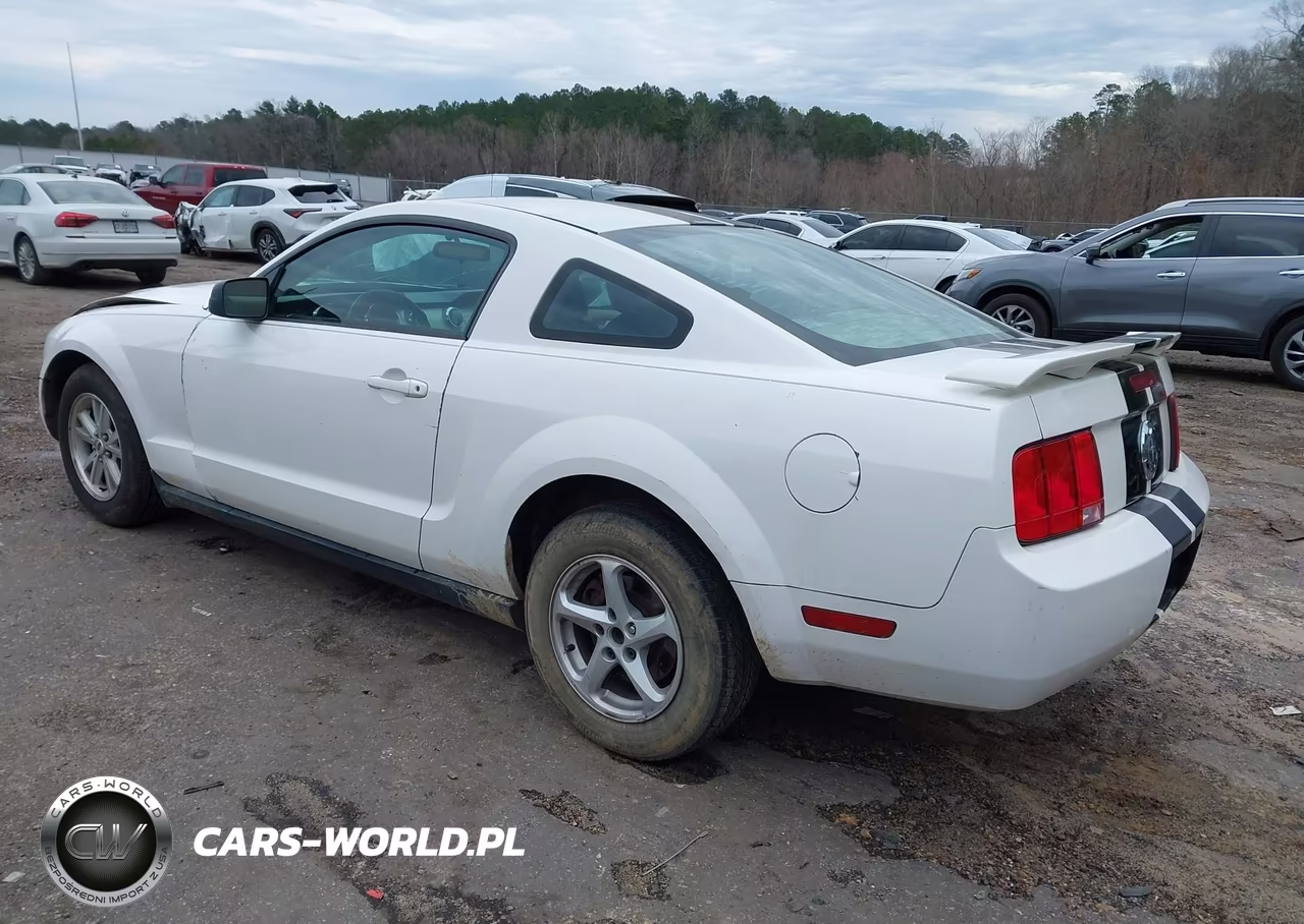 2006 Ford Mustang V6 VIN:1ZVFT80N365108164 - 3
