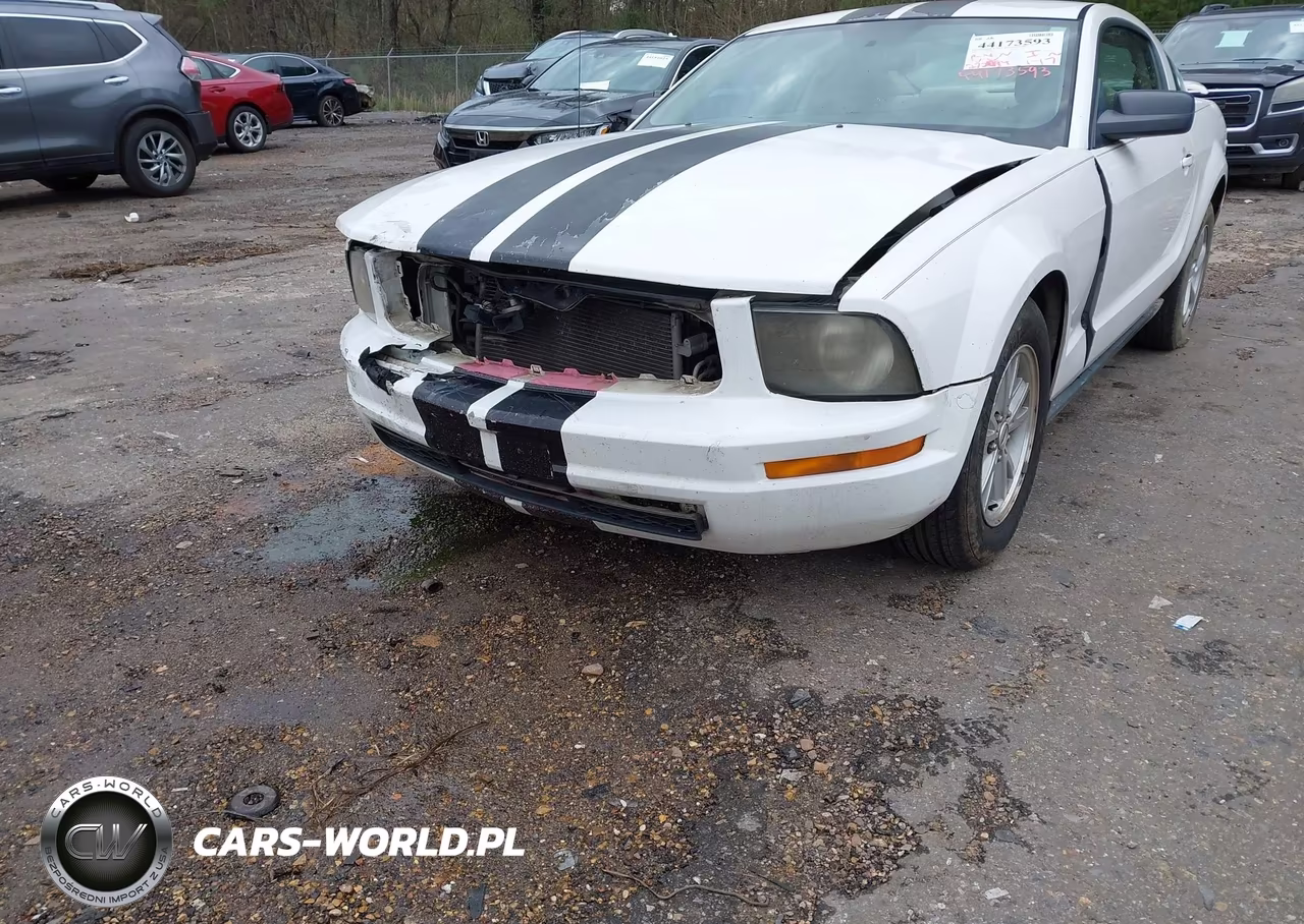 2006 Ford Mustang V6 VIN:1ZVFT80N365108164 - 6