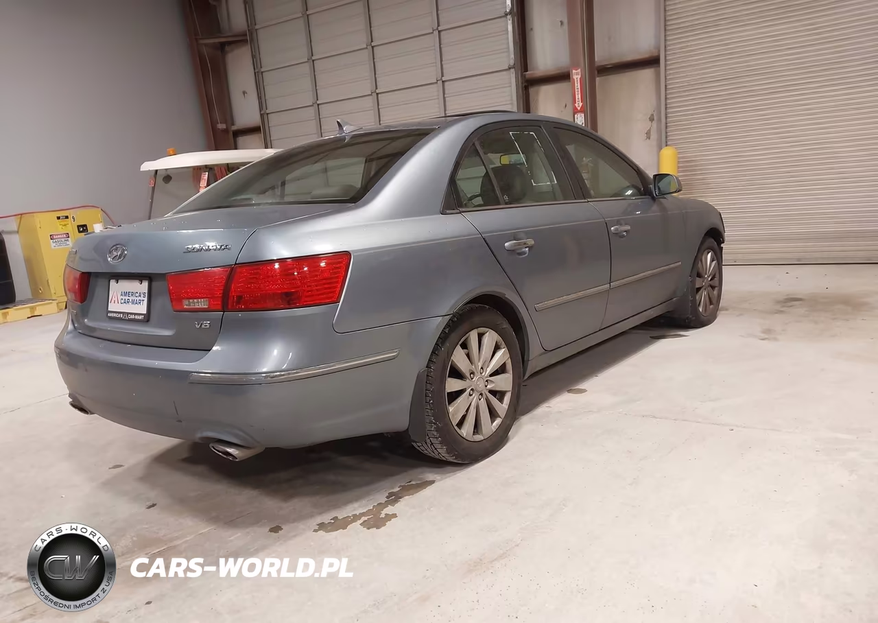 2010 Hyundai Sonata Limited V6 VIN:5NPEU4AF1AH610479 - 4