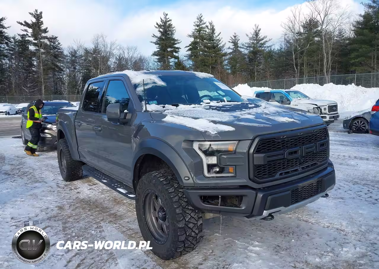 2018 Ford F-150 Raptor