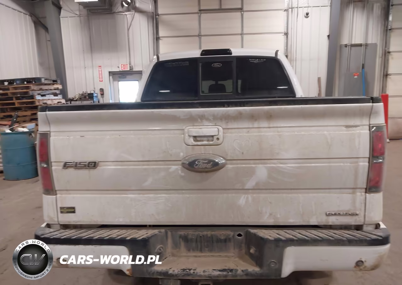 2014 Ford F-150 Fx4 VIN:1FTFW1EFXEKD91861 - 16