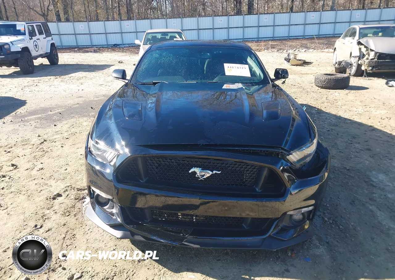 2017 Ford Mustang Gt Premium VIN:1FA6P8CF2H5212603 - 12