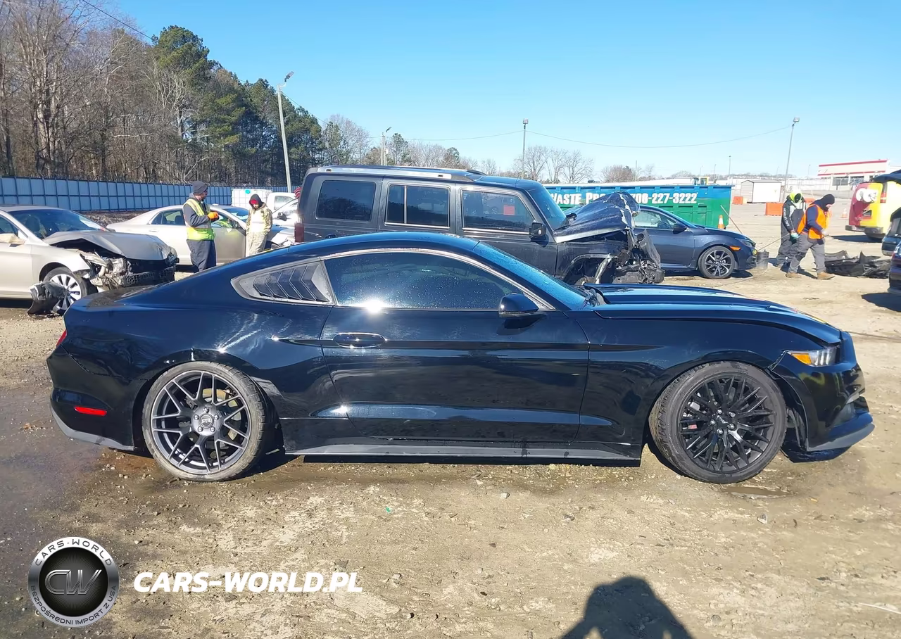 2017 Ford Mustang Gt Premium VIN:1FA6P8CF2H5212603 - 13