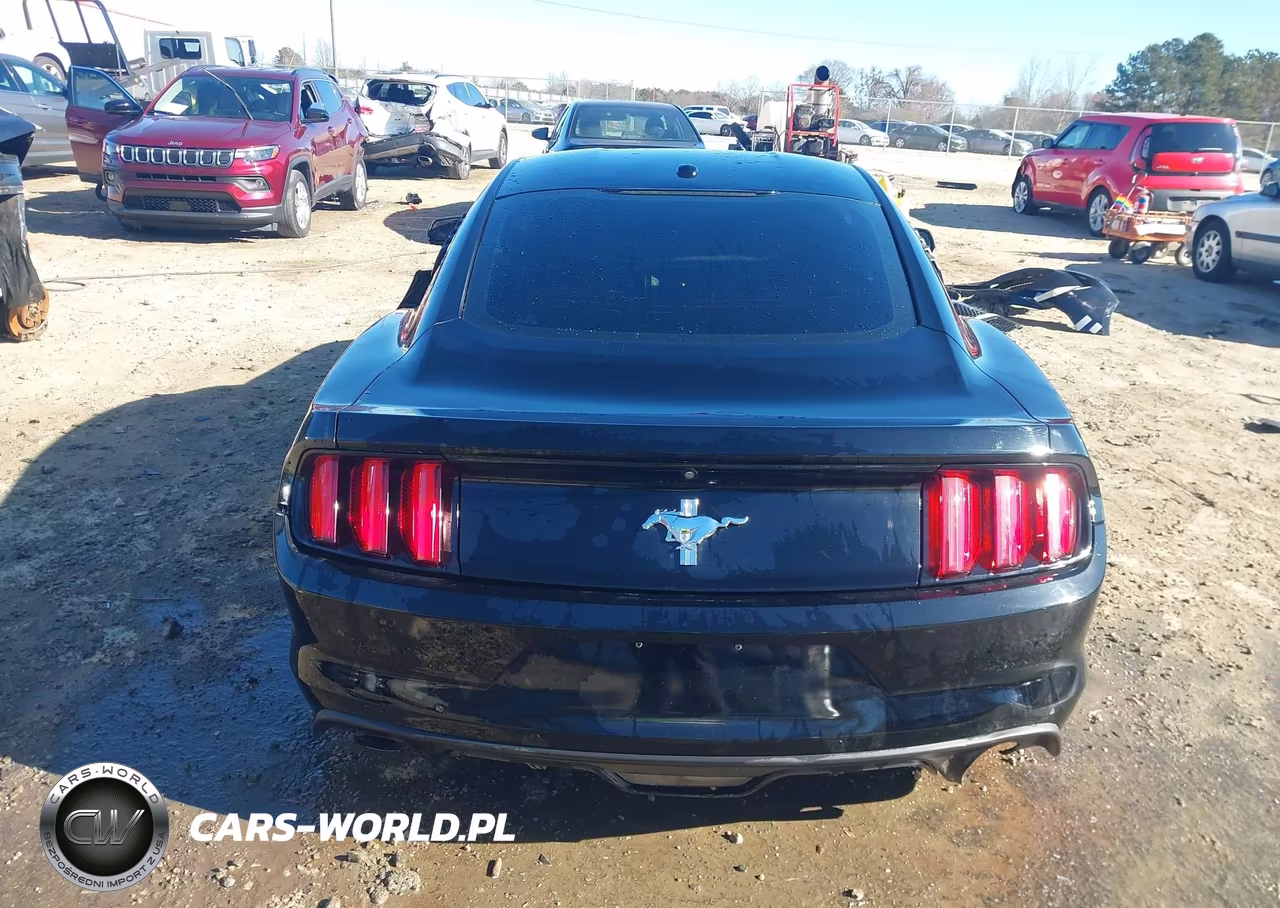 2017 Ford Mustang Gt Premium VIN:1FA6P8CF2H5212603 - 16