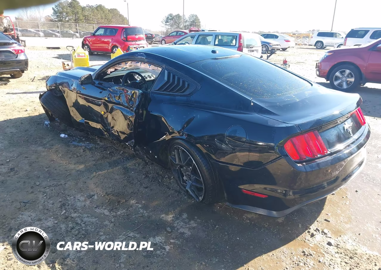 2017 Ford Mustang Gt Premium VIN:1FA6P8CF2H5212603 - 3