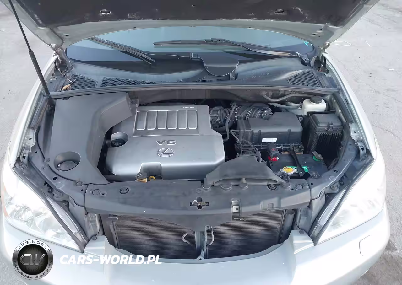 2009 Lexus Rx 350 VIN:2T2GK31UX9C076125 - 10