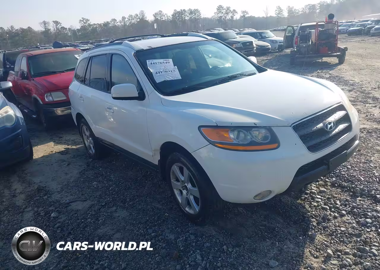 2009 Hyundai Santa Fe Se