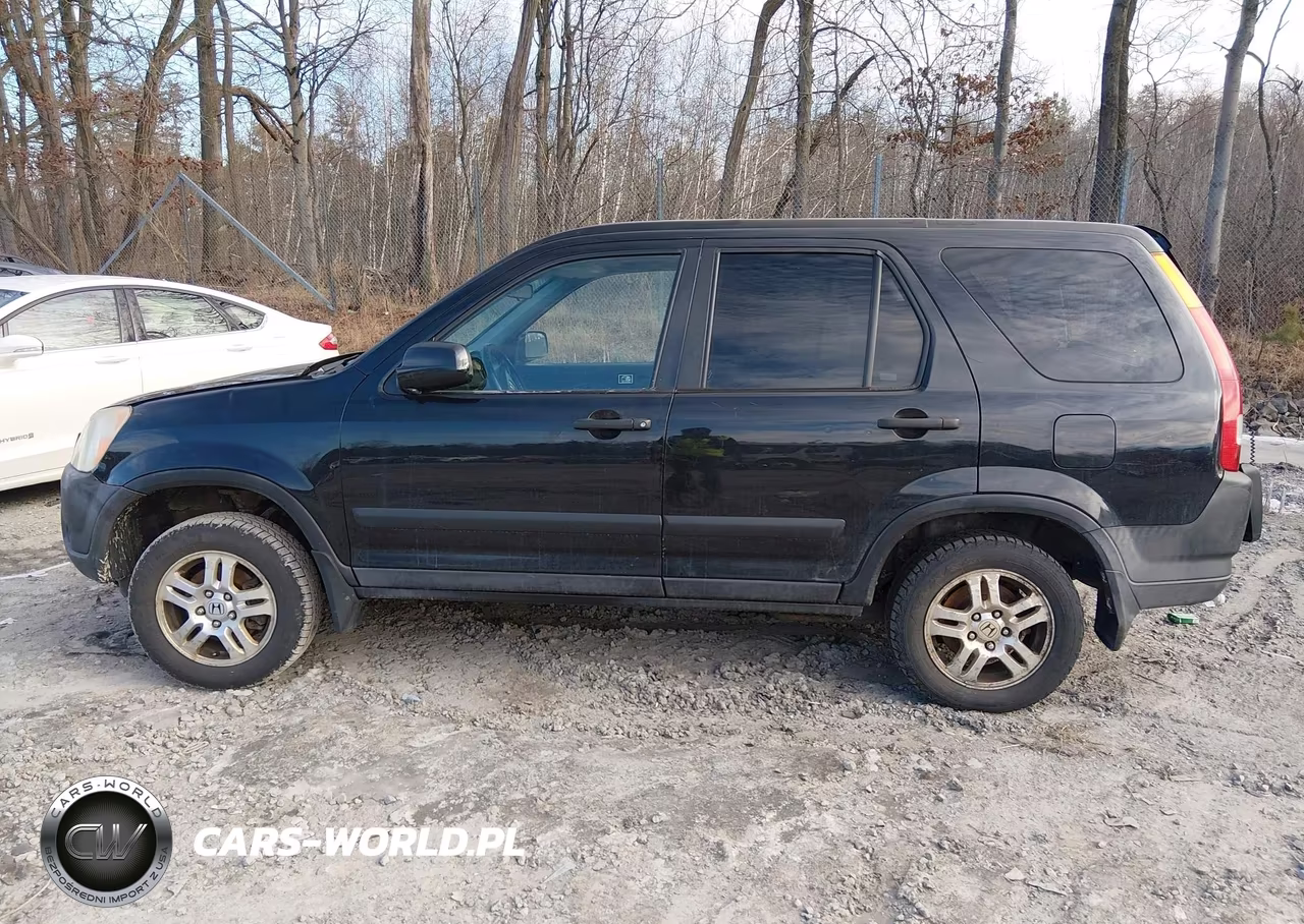 2004 Honda Cr-V Ex VIN:SHSRD78814U231598 - 13