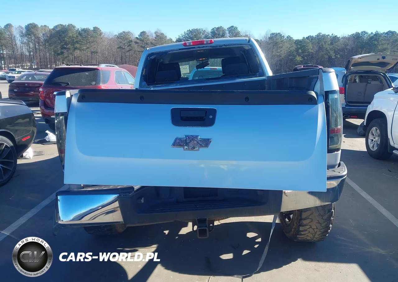 2010 Chevrolet Silverado 1500 Lt VIN:1GCSKSE36AZ146708 - 16