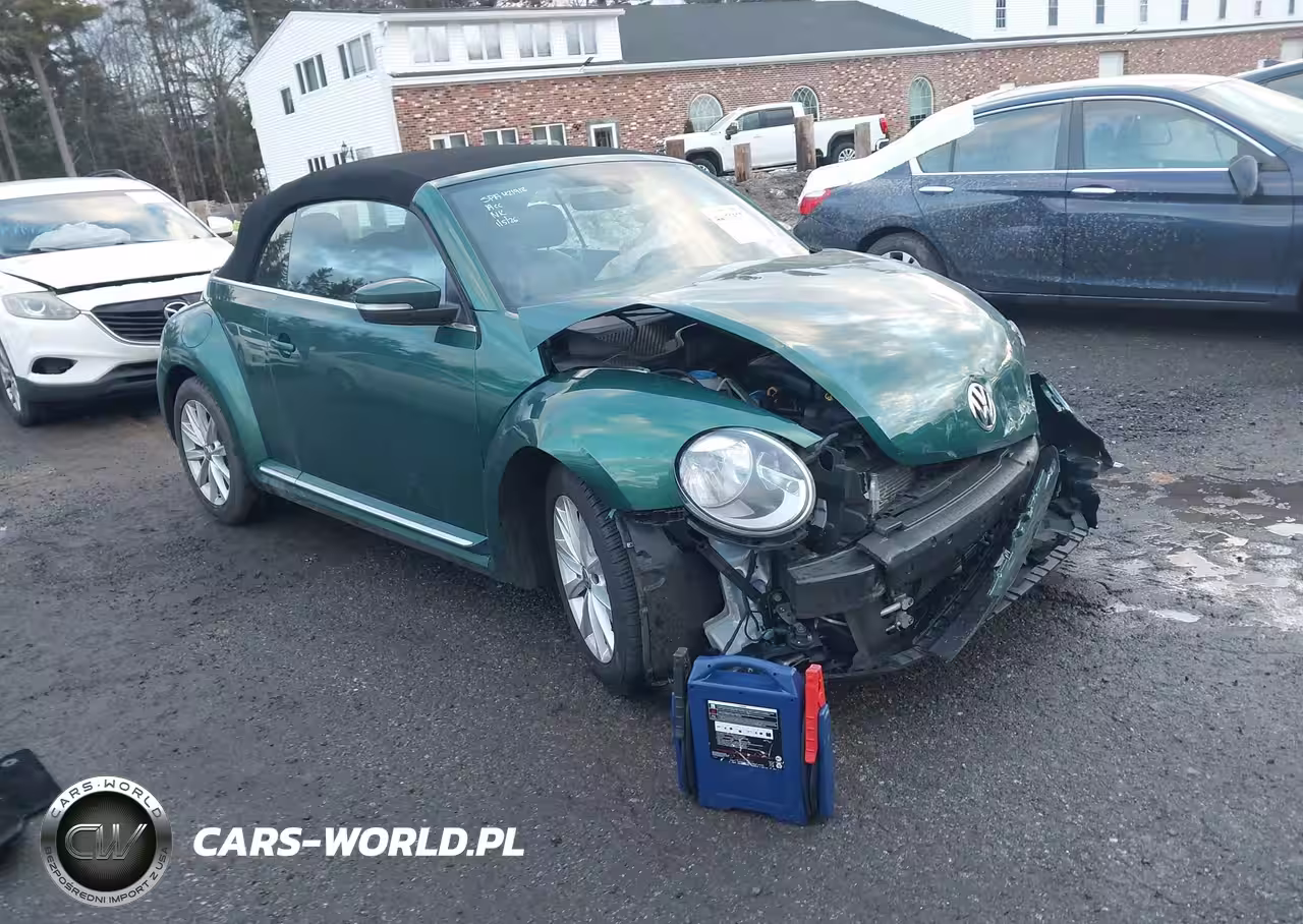 2017 Volkswagen Beetle #Pinkbeetle-1.8T Classic-1.8T S-1.8T Se-1.8T Sel