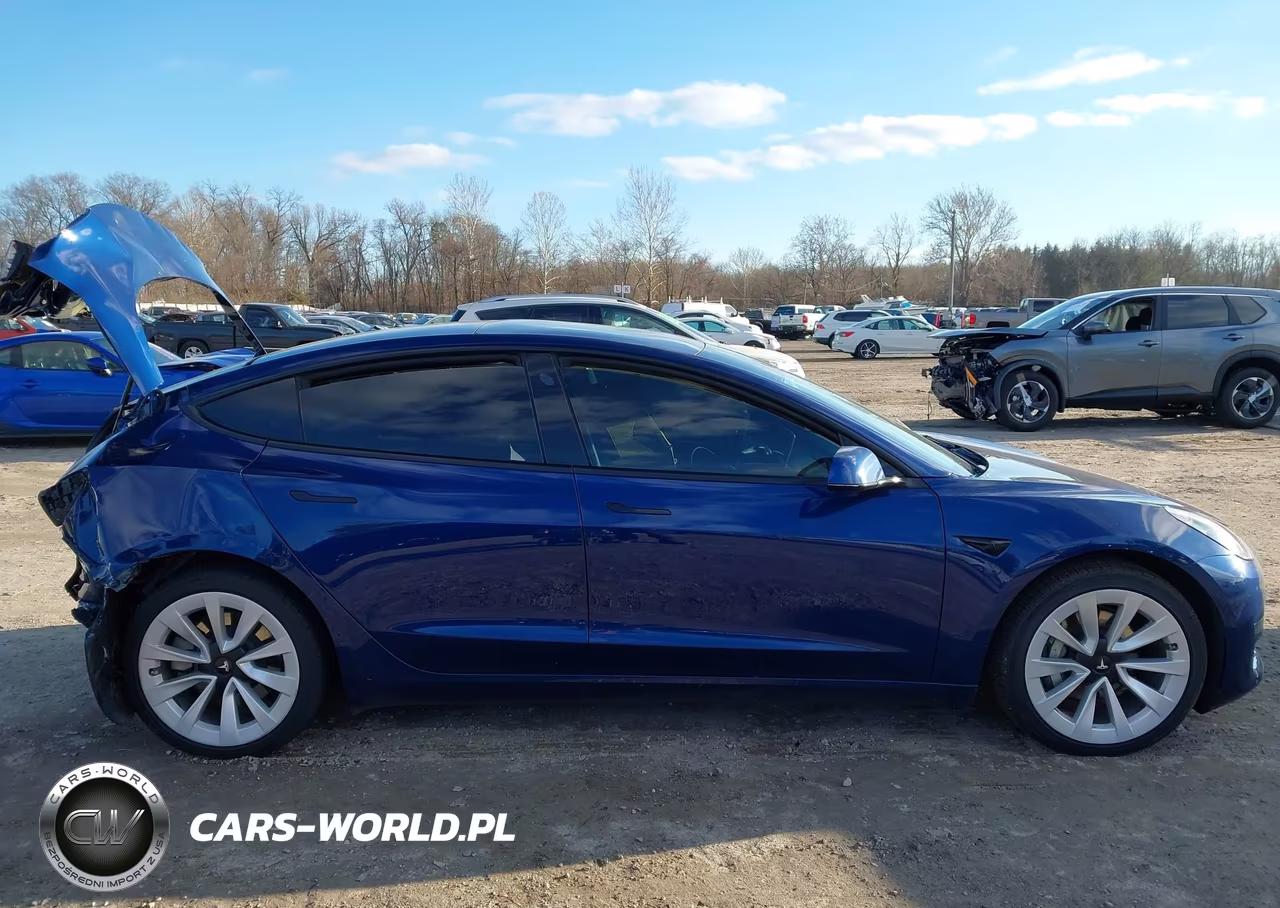 2022 Tesla Model 3 Long Range Dual Motor All-Wheel Drive VIN:5YJ3E1EB7NF111507 - 12