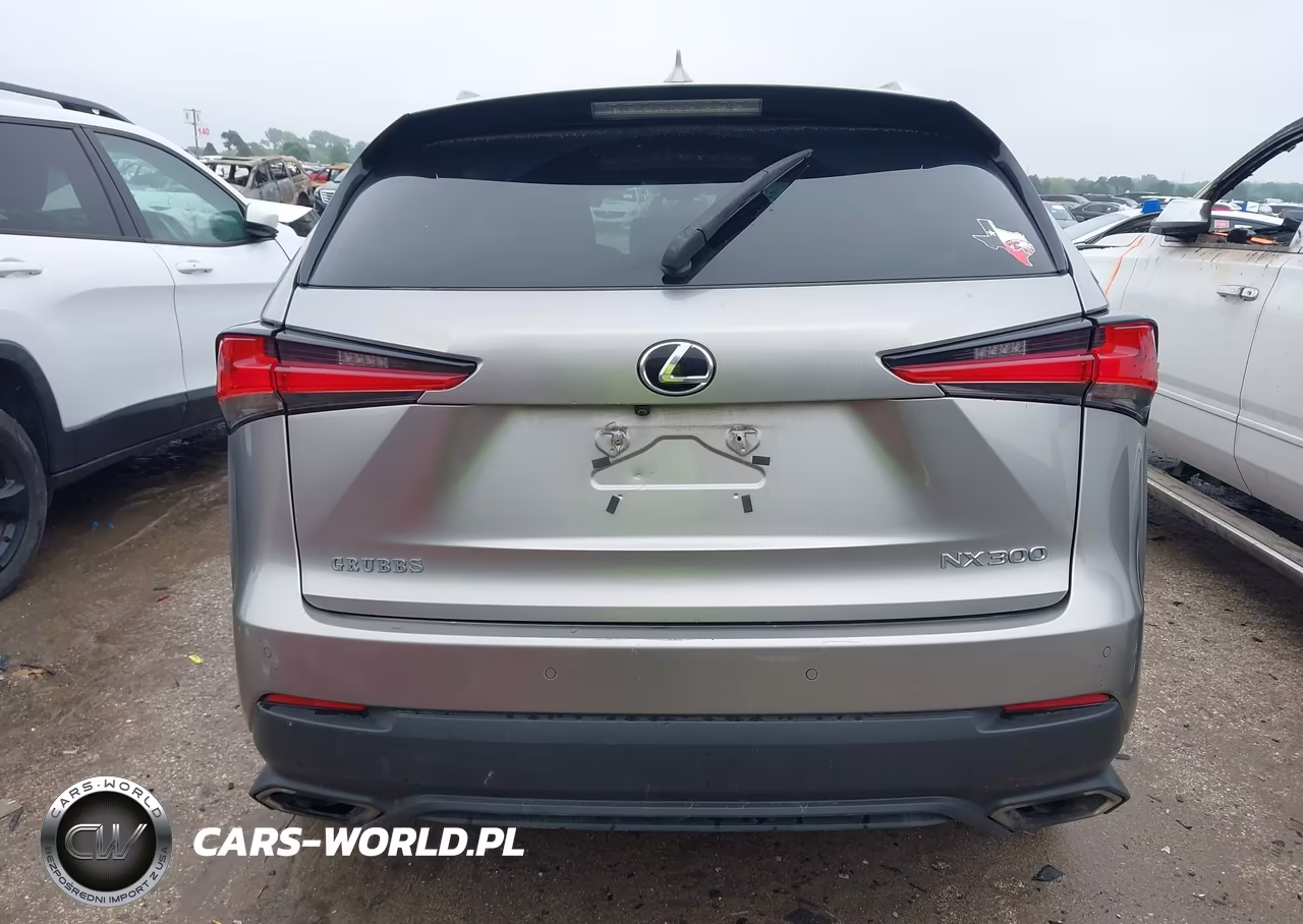 2018 Lexus Nx 300 VIN:JTJYARBZXJ2094116 - 17