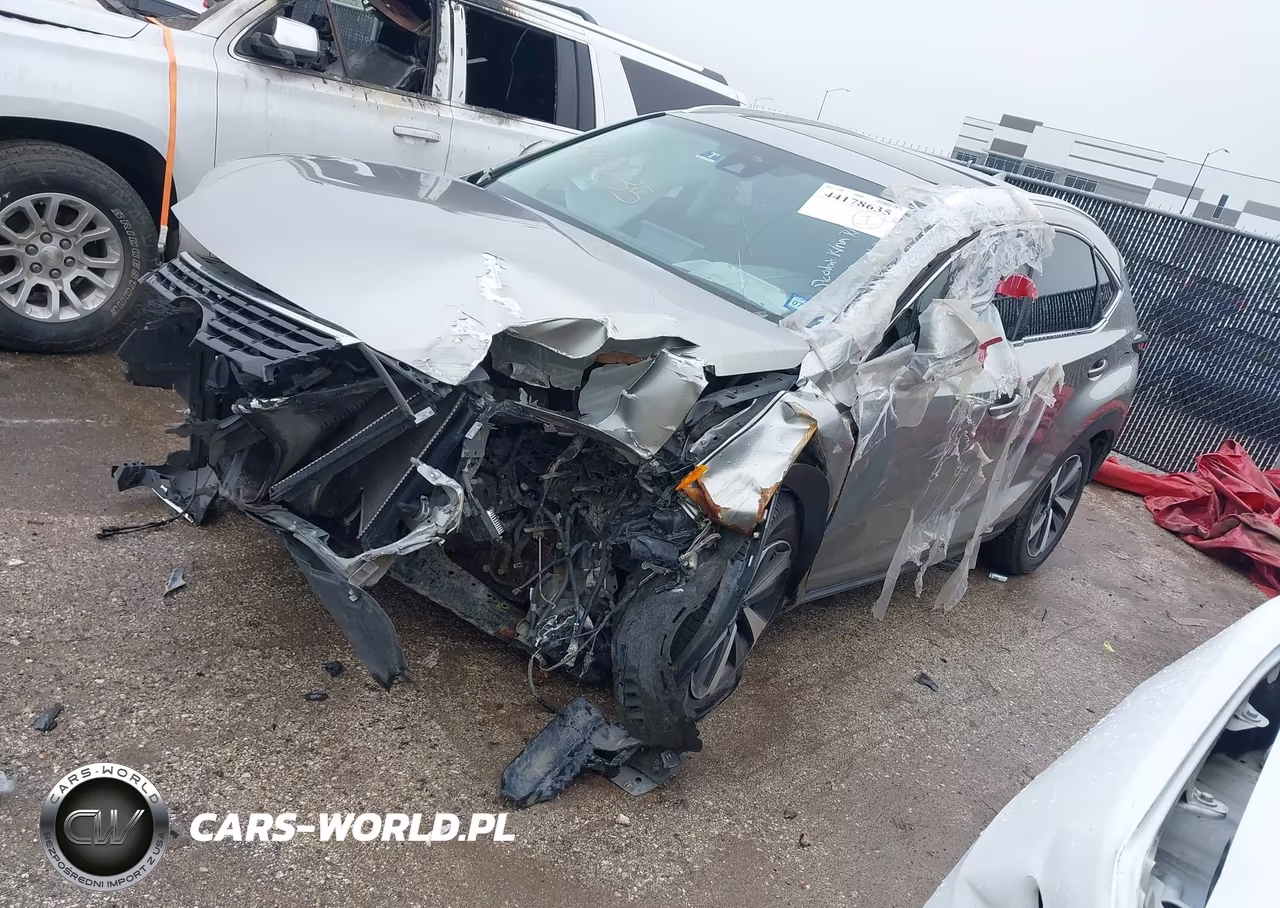 2018 Lexus Nx 300 VIN:JTJYARBZXJ2094116 - 2