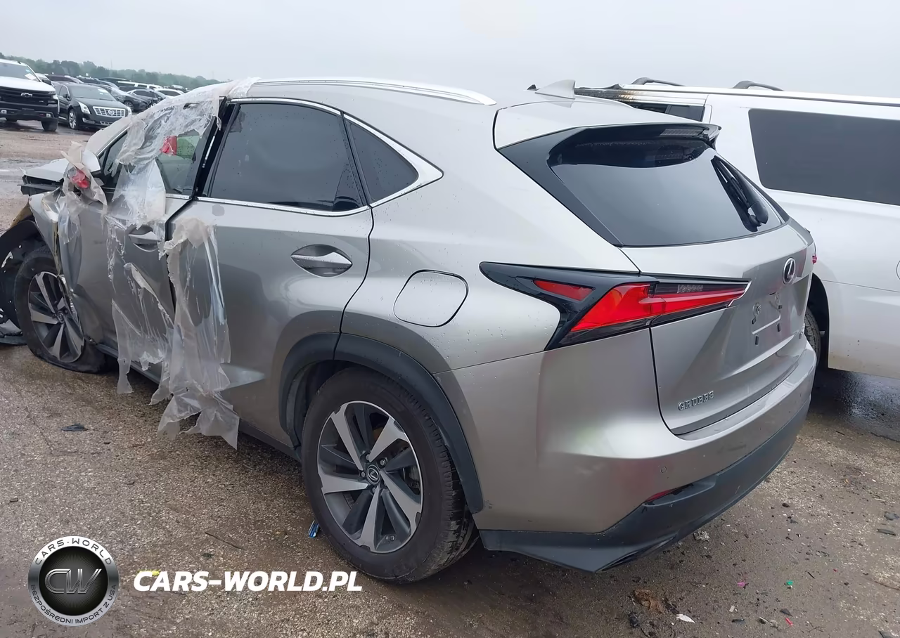 2018 Lexus Nx 300 VIN:JTJYARBZXJ2094116 - 3