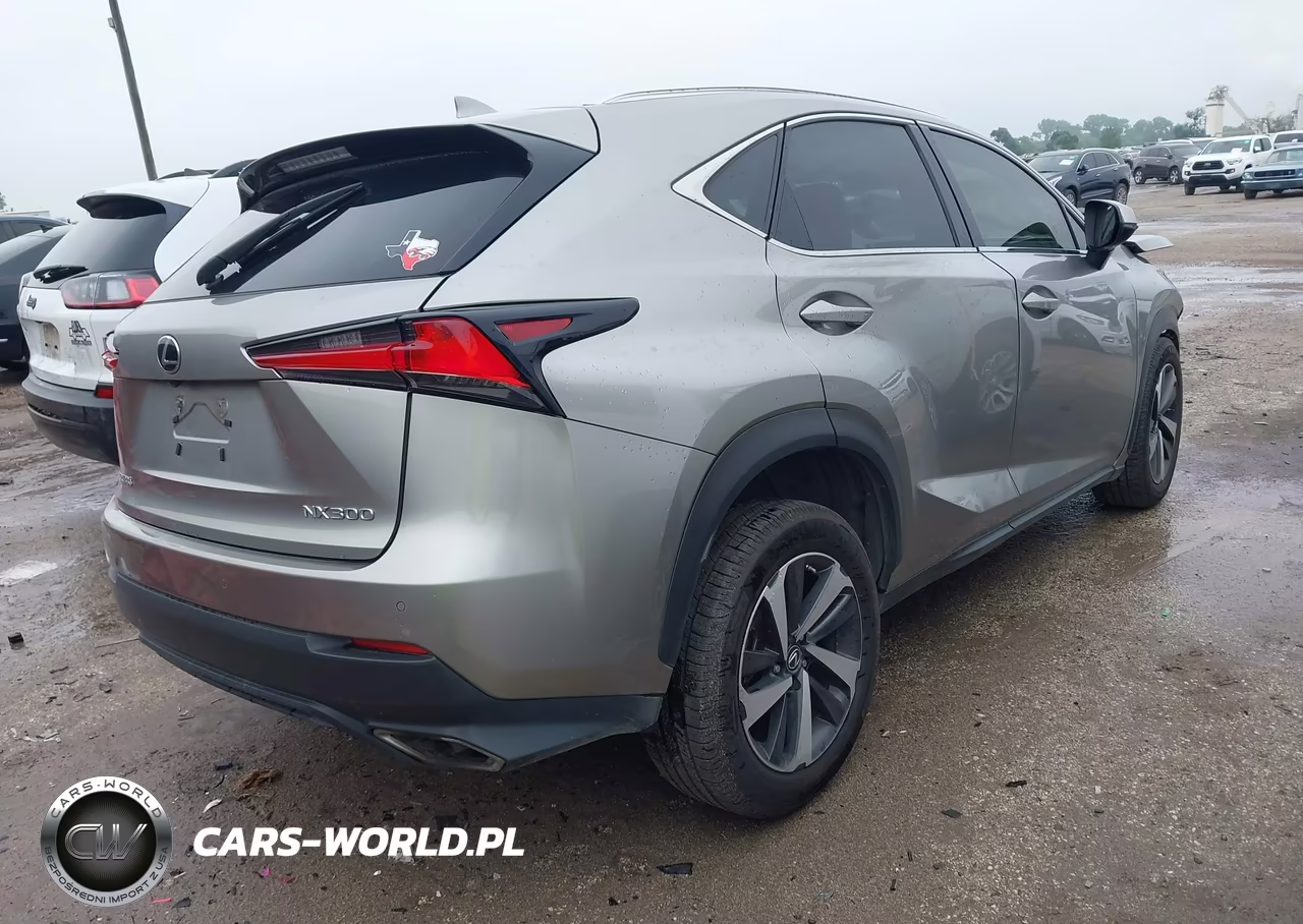 2018 Lexus Nx 300 VIN:JTJYARBZXJ2094116 - 4