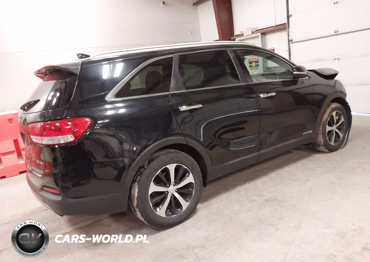 2016 Kia Sorento 3.3L Ex VIN:5XYPHDA5XGG162568 - 4