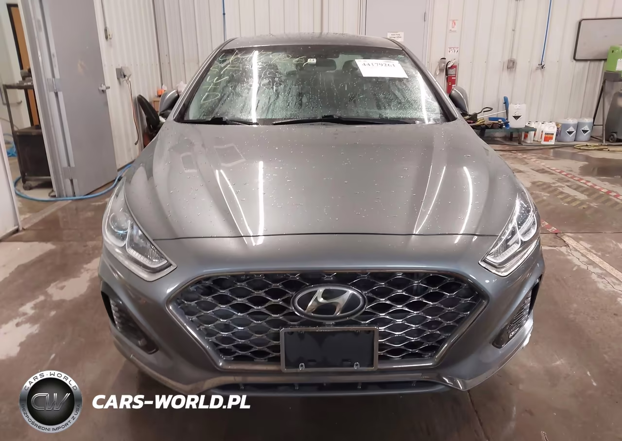 2019 Hyundai Sonata Sel VIN:5NPE34AF7KH788062 - 12