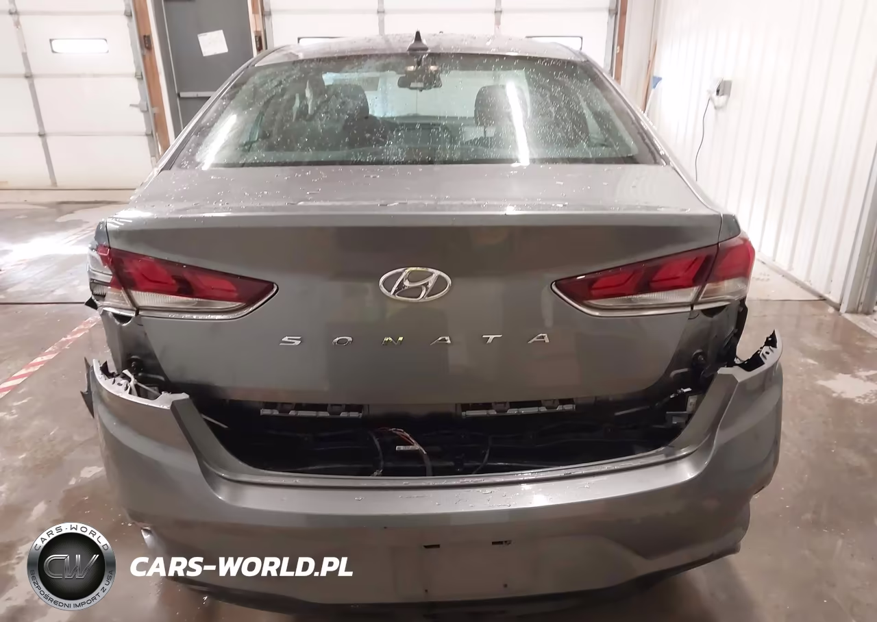 2019 Hyundai Sonata Sel VIN:5NPE34AF7KH788062 - 16