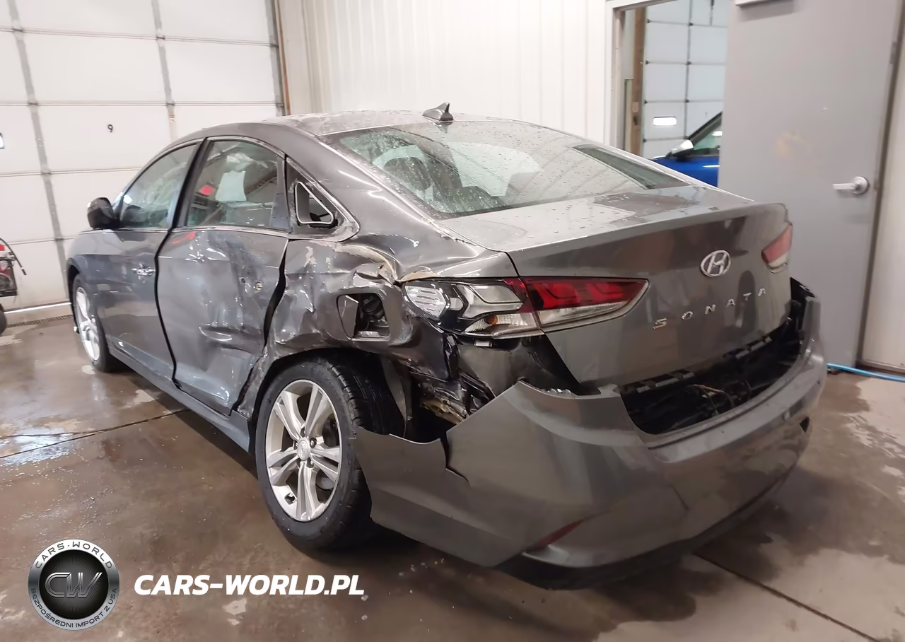 2019 Hyundai Sonata Sel VIN:5NPE34AF7KH788062 - 3
