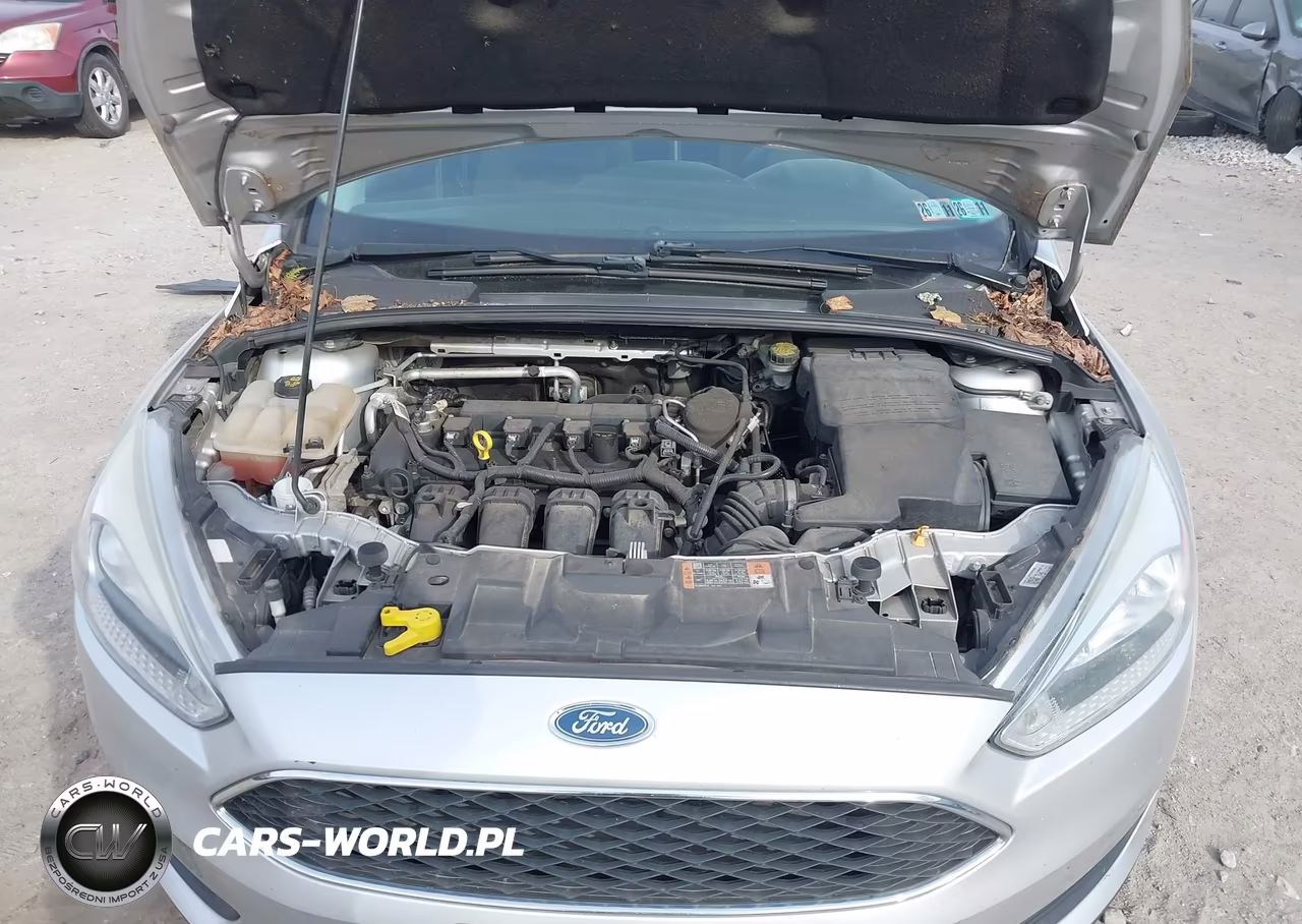 2015 Ford Focus Se VIN:1FADP3K2XFL282464 - 10